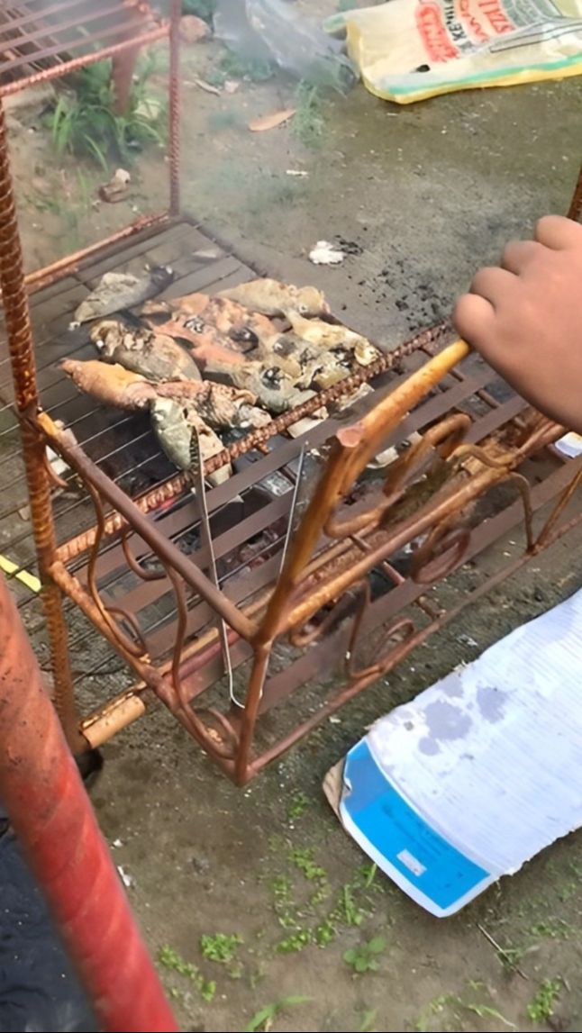 Cara Bakar Ikan Tanpa Perlu Alat yang Nyeleneh Abis, Ditaruh di Ayunan