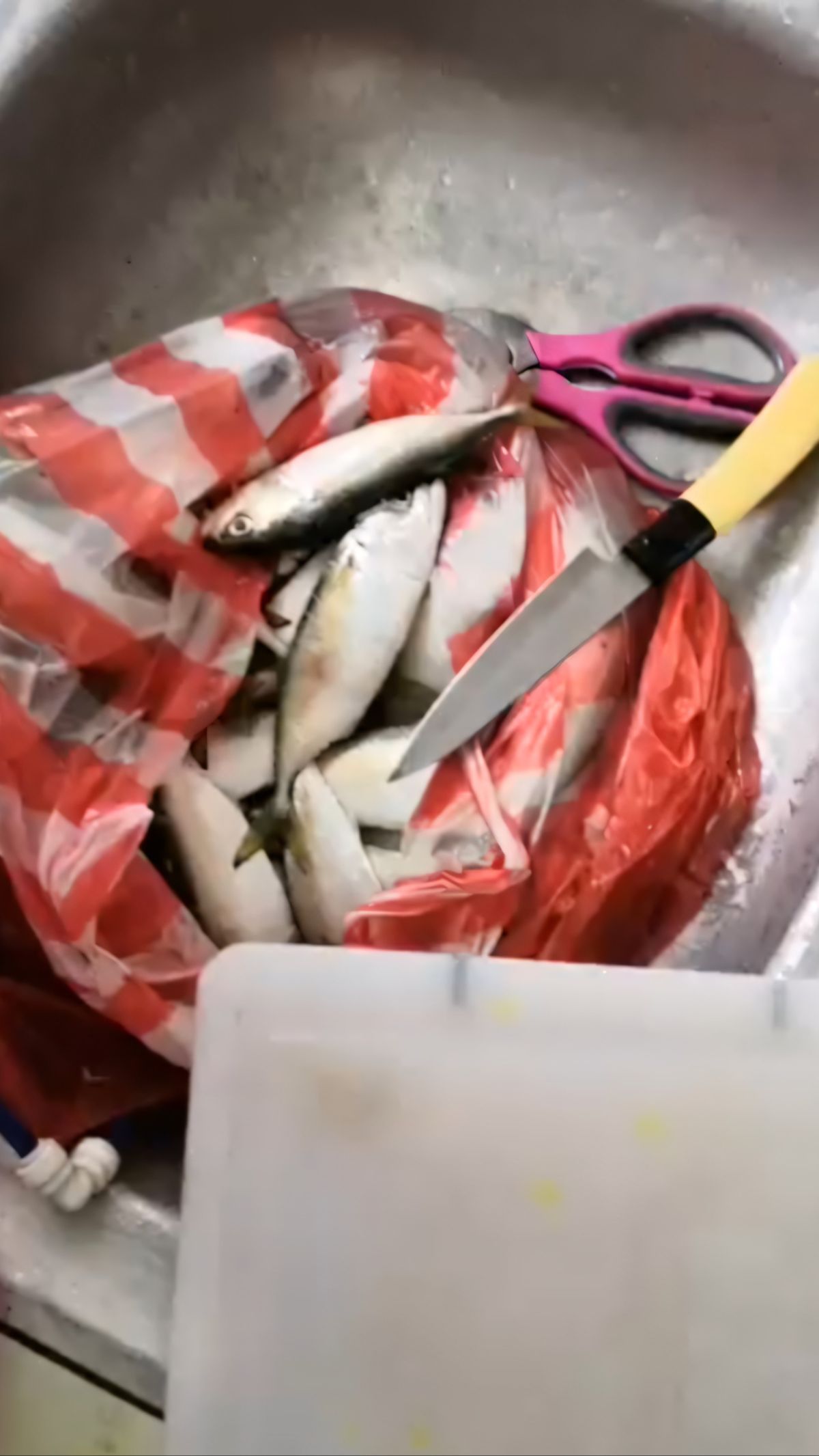 Ternyata Ada Cara Mudah Membuang Tulang Ikan Kembung, Sekali Tarik Tercabut Semua