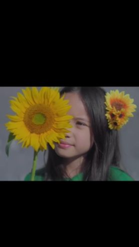 Rencananya, musik video lagu Gala Bunga Matahari akan rilis pada Kamis, 8 Agustus 2024 di kanal youtube Sal Priadi.