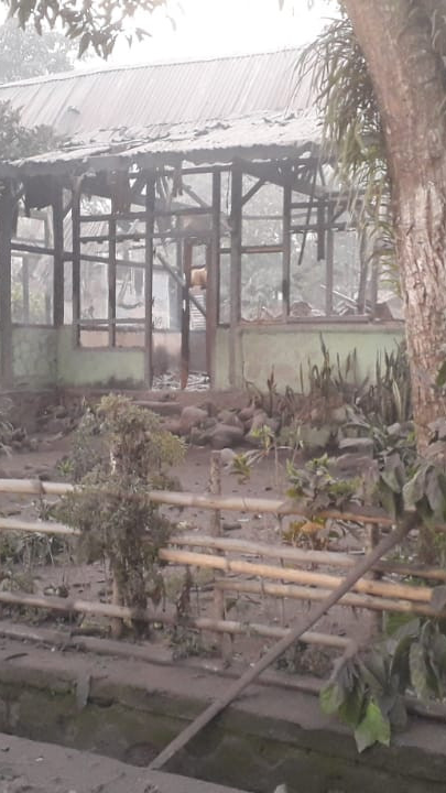 Ini Penyebab Tim Evakuasi Sulit Relokasi Warga saat Erupsi Gunung Lewotobi