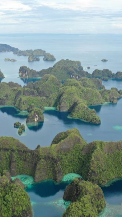 Gokil, Anak-anak Papua Bermain dengan Seekor Ikan Paus di Laut Raja Ampat