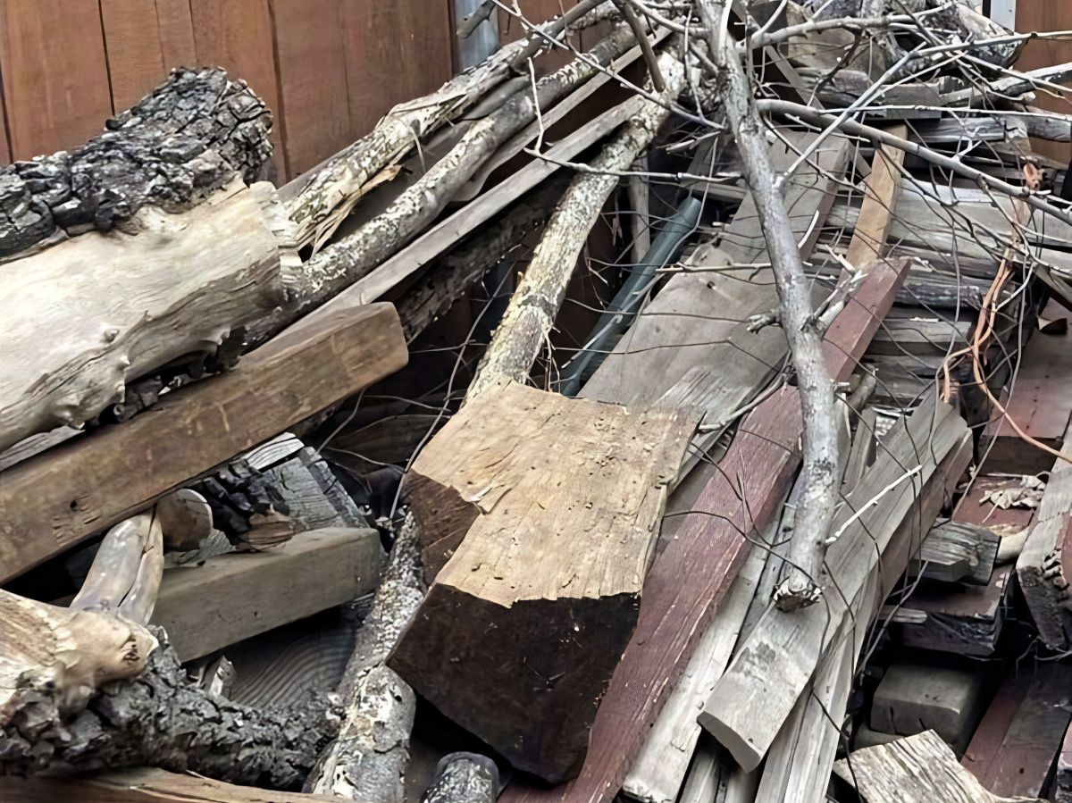 Kucing di Antara Kayu