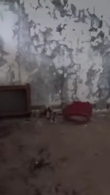 Di bagian dalamnya pun sudah banyak yang rusak karena tak pernah dirawat.