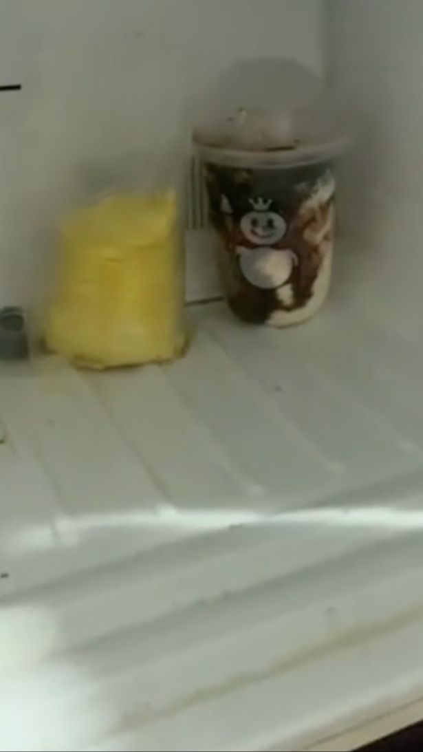 TikToker Masih Simpan Es Krim Kesukaan Ibunya Selama 9 Bulan Karena Tak Sempat Dimakan Sebelum Meninggal