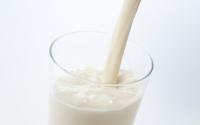 atau pasteurisasi