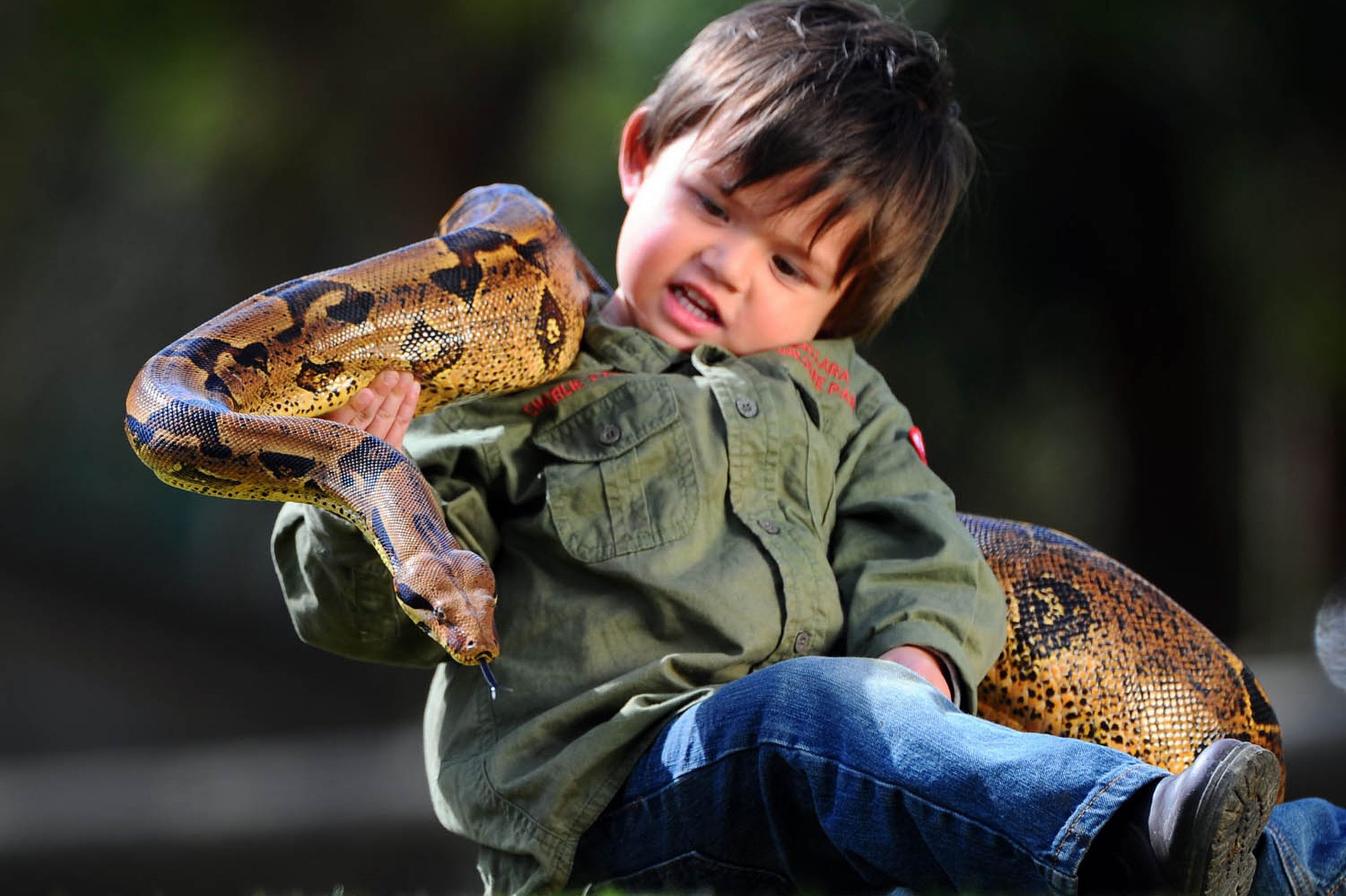 Самого храброго человека. Змеи для детей. Необычные дети. Малыш змеи.