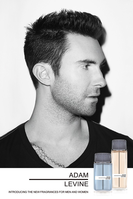 levine