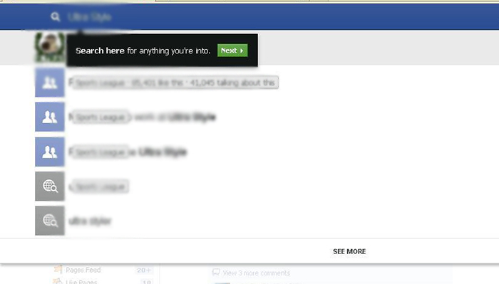 Facebook Graph Search