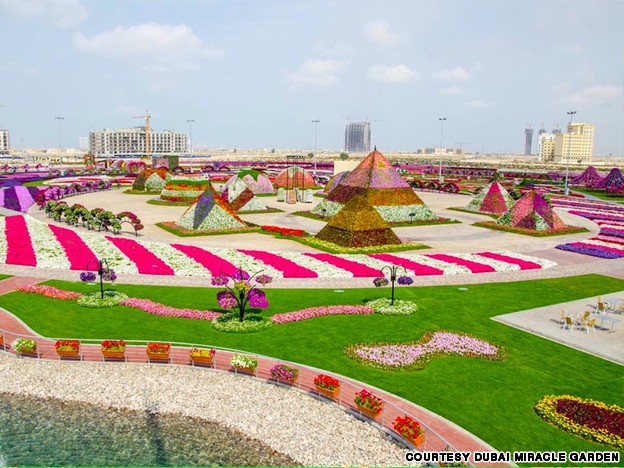 Lagi Dubai Buka Taman Bunga Raksasa Merdekacom