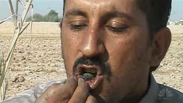 Petani asal Irak makan kalajengking hidup-hidup