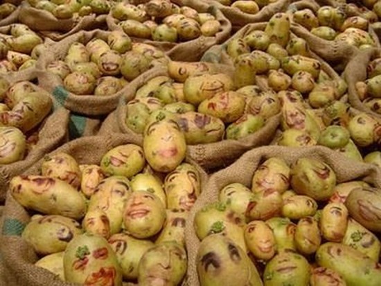 wajah kentang