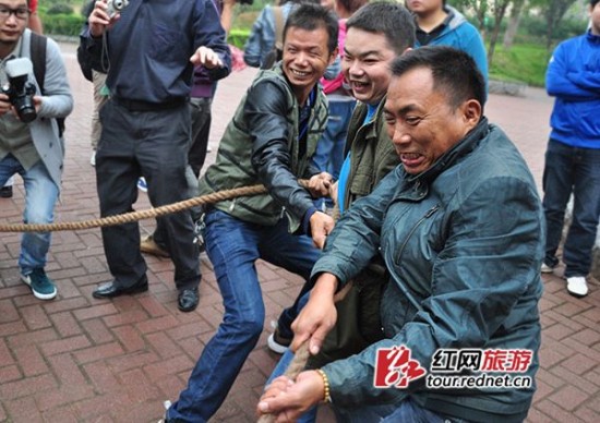 Manusia Harimau Gigi Kebun binatang ini ajak turis tarik tambang dengan harimau 