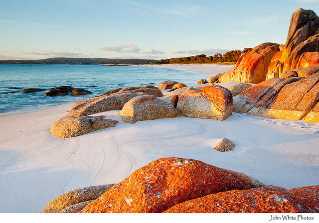 fires tasmania