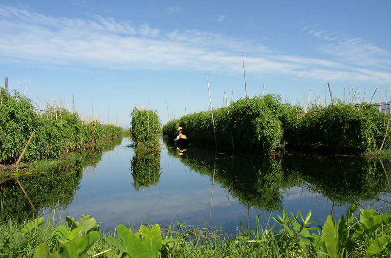 ywa myanmar