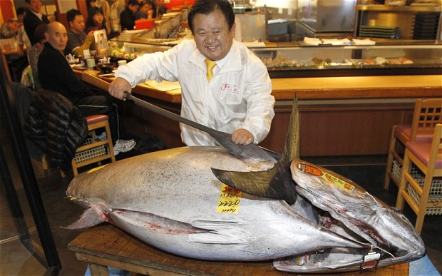 jepang mengolah tuna sirip biru