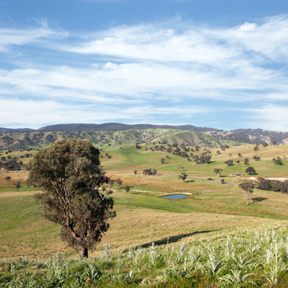 tantri setyorini?20140617121153