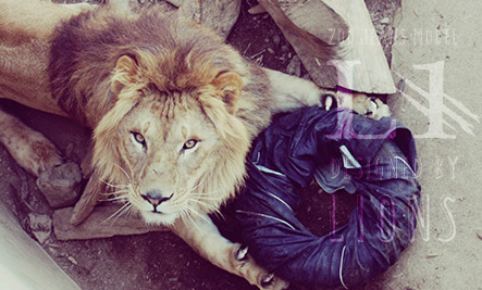 001 tantri setyorini?20140721042257