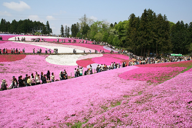 takinoue park jepang