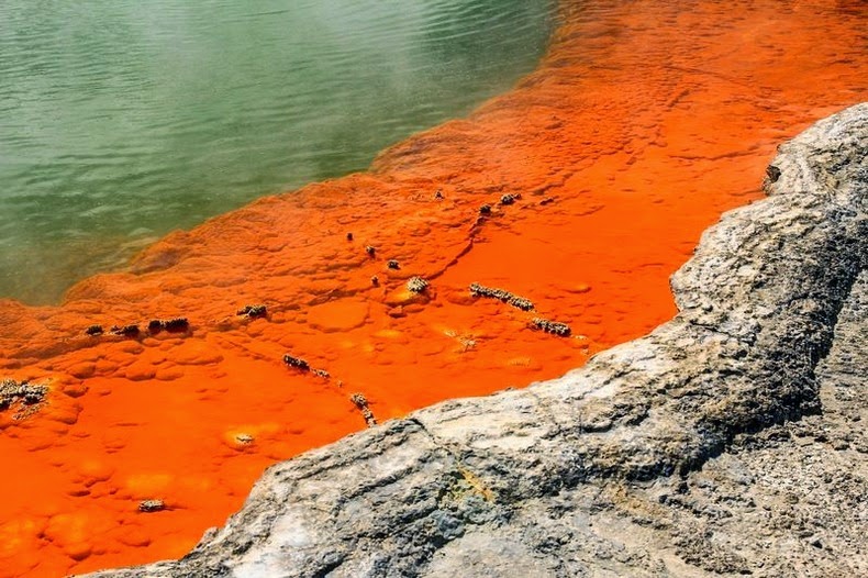 panas di selandia baru