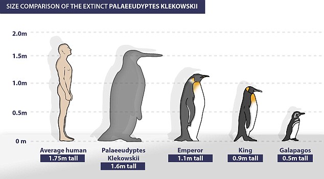 penguin raksasa antartika