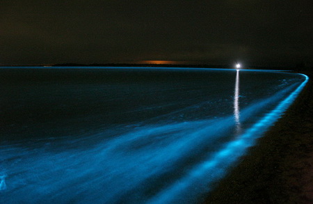 di danau gippsland australia