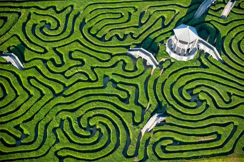 maze