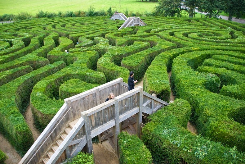 maze