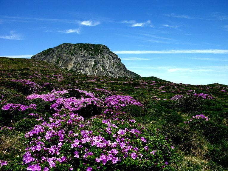korea