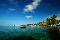 bawah laut kepulauan derawan