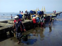 padati pantai teluk penyu