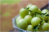 atau indian gooseberry