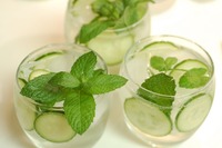 daun mint