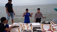 bakau ke malaysia