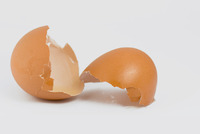 telur