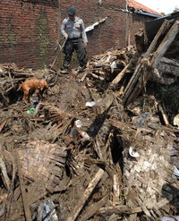 kerahkan anjing k 9 cari korban hilang banjir garut
