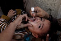 divaksin polio