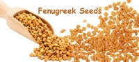 fenugreek