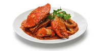 memasak kepiting saus padang