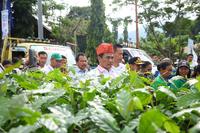 andi amran sulaiman melakukan kunjungan kerja ke tana toraja