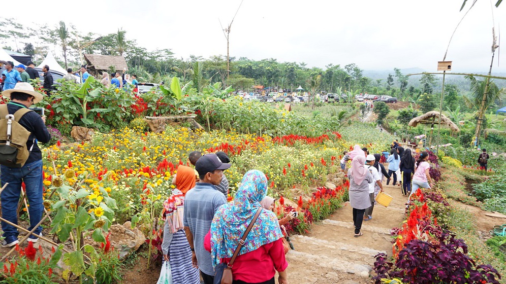 Pemkab Banyuwangi Ubah Kawasan Tandus Jadi Wisata Agro Yang