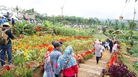 ubah kawasan tandus jadi wisatawa agro yang cantik