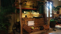 sampoerna