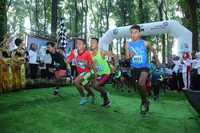 susuri trek perkebunan di banyuwangi gombengsari plantation run 2019