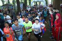 susuri trek perkebunan di banyuwangi gombengsari plantation run 2019