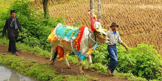 Idul Adha di Depan Mata  Yuk Intip Tradisi Unik di 