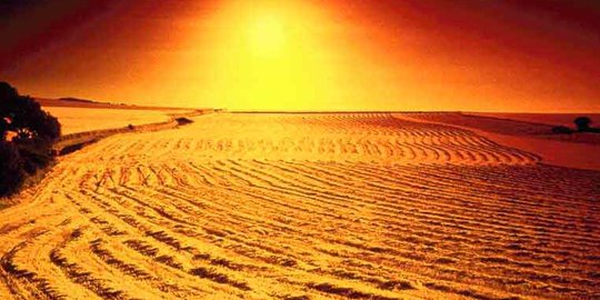 Here are 4 Questions in Mahsyar Field