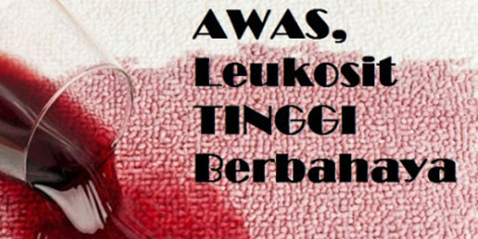 Hasil gambar untuk ðððððððð tinggi