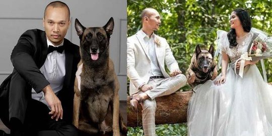 Nasib Sedih Sparta Anjing Cerdas Milik Bima Aryo Yang Serang Art