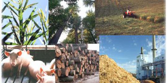 Era Biomass Energy Technology telah dimulai