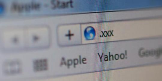 Domain situs porno mulai mengembangkan sayapnya